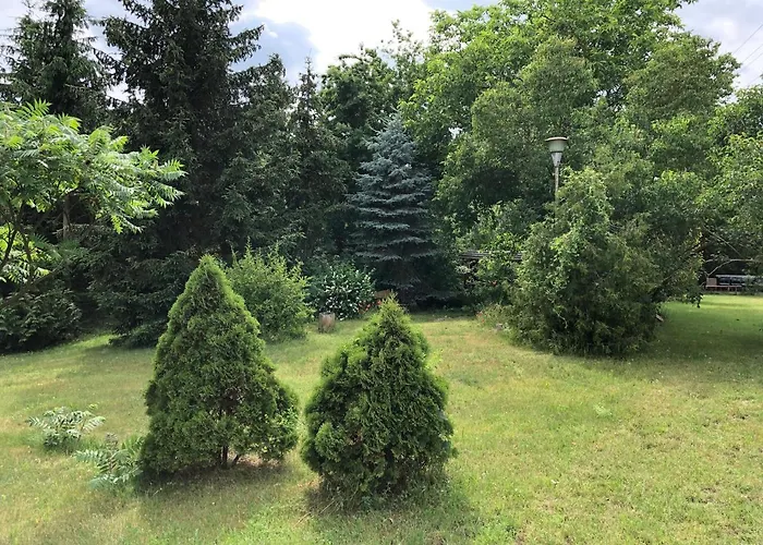 Caloroczny Blisko Lasu I Morza Na Urokliwej Dzialce 4300 M2 Дом отдыха *