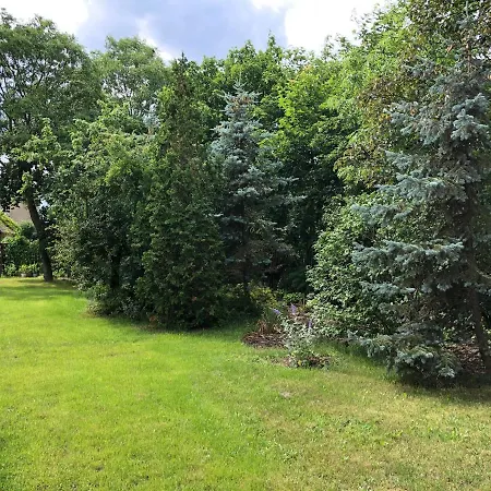 Caloroczny Blisko Lasu I Morza Na Urokliwej Dzialce 4300 M2 غدانسك
