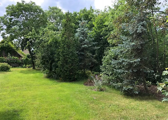 Caloroczny Blisko Lasu I Morza Na Urokliwej Dzialce 4300 M2 גדנסק