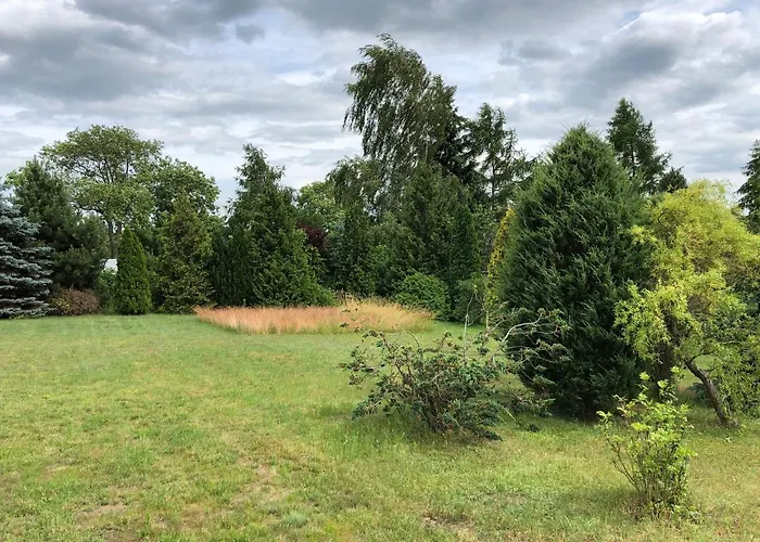 Σπίτι διακοπών Caloroczny Blisko Lasu I Morza Na Urokliwej Dzialce 4300 M2 Γκντανσκ