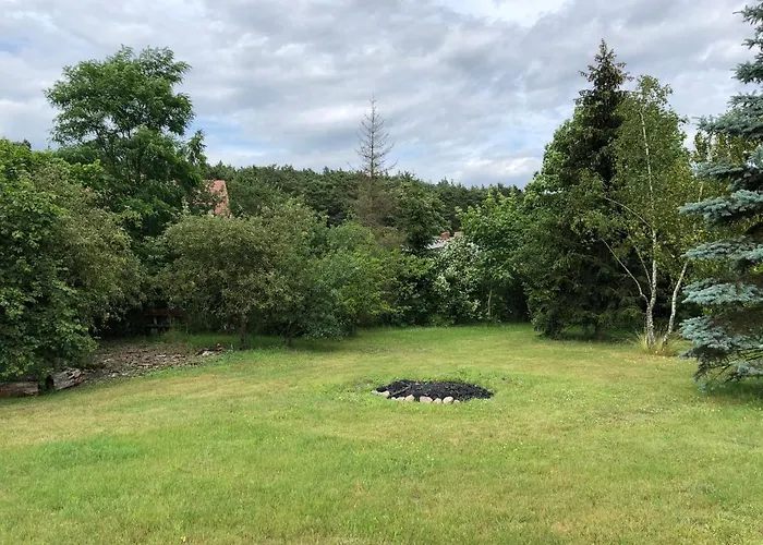 Σπίτι διακοπών Caloroczny Blisko Lasu I Morza Na Urokliwej Dzialce 4300 M2 Γκντανσκ