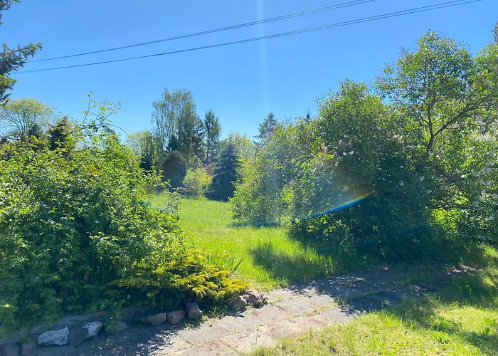 Caloroczny Blisko Lasu I Morza Na Urokliwej Dzialce 4300 M2 גדנסק